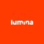 Lumina Consulting Agency